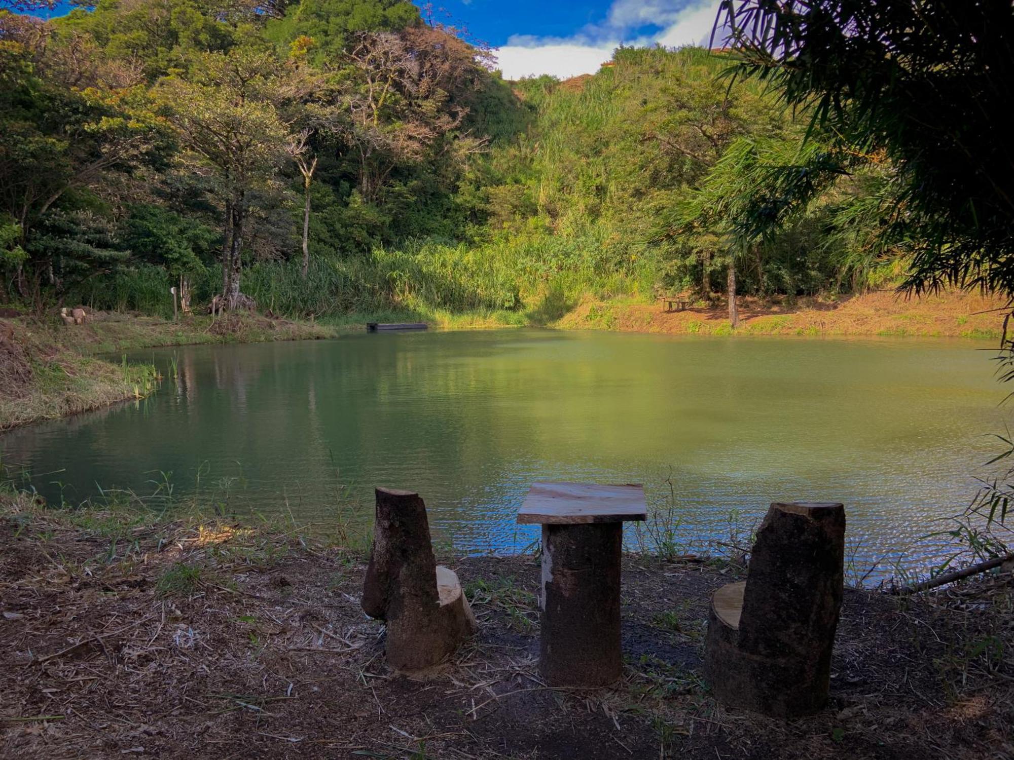 Hotel Montana Monteverde Bagian luar foto