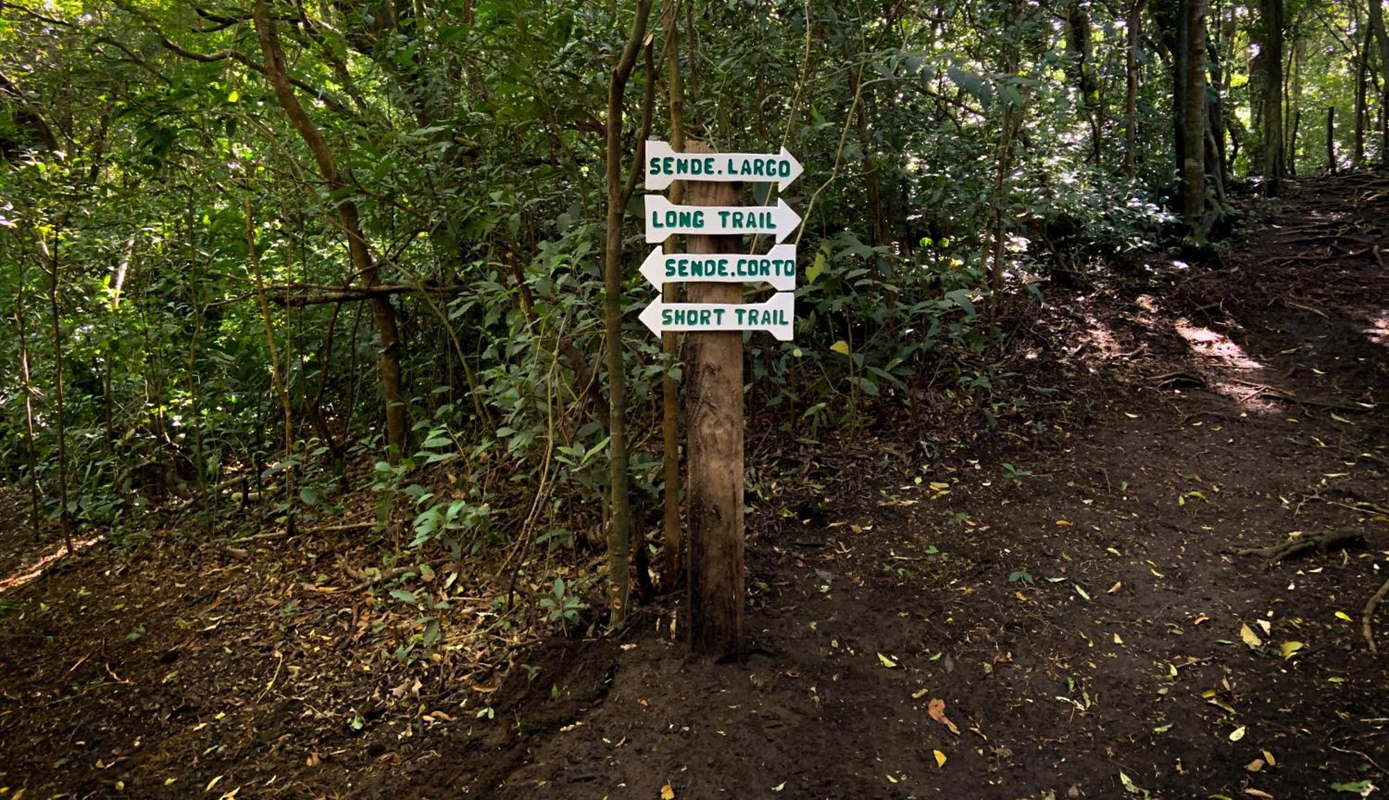 Hotel Montana Monteverde Bagian luar foto