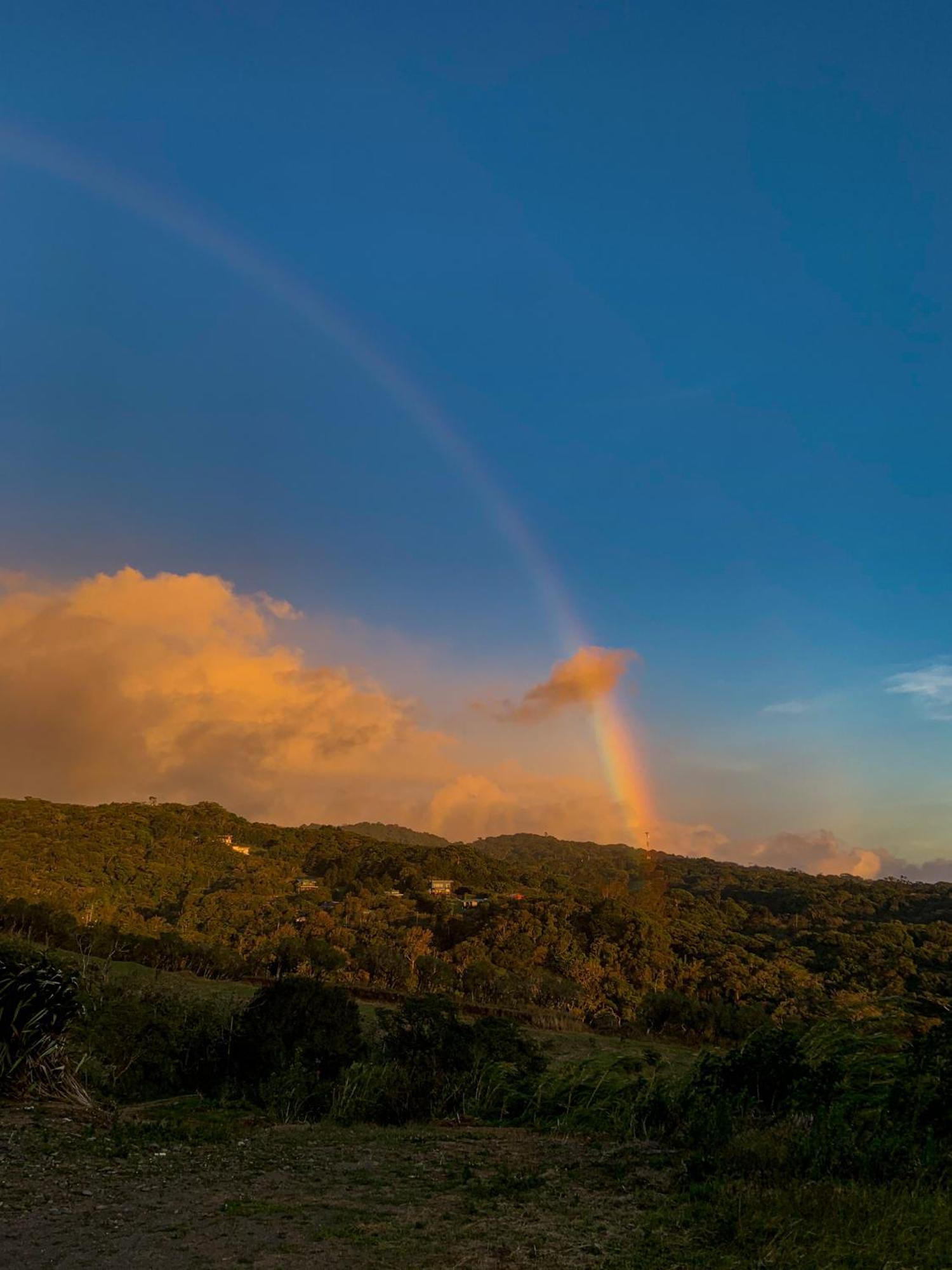 Hotel Montana Monteverde Bagian luar foto